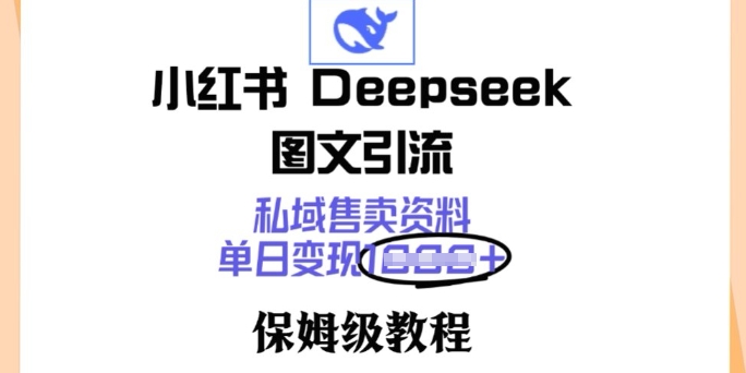 小红书Deepseek图文引流，私域售卖资料，单日变现多张，保姆级教程-搞钱蓝图