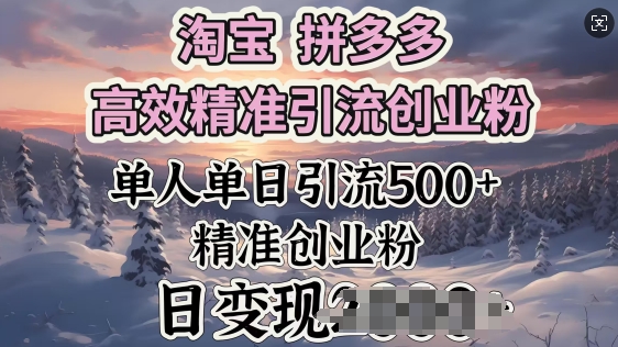 淘宝拼多多高效精准引流创业粉，单人单日引流500+创业粉，日变现多张-搞钱蓝图