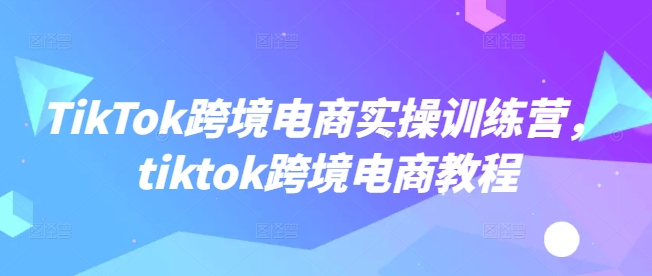 TikTok跨境电商实操训练营，tiktok跨境电商教程-搞钱蓝图