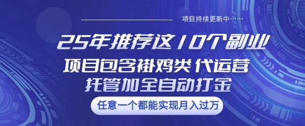 25年推荐这10个副业项目包含褂鸡类、代运营托管类、全自动打金类【揭秘】-搞钱蓝图