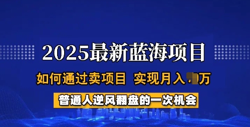 2025蓝海项目，普通人如何通过卖项目，实现月入过W，全过程【揭秘】-搞钱蓝图