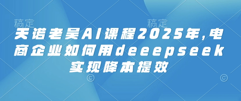 天诺老吴AI课程2025年，电商企业如何用deeepseek实现降本提效-搞钱蓝图