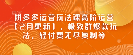 拼多多运营玩法课高阶运营【2月更新】，极致群爆款玩法，轻付费无尽复制等-搞钱蓝图