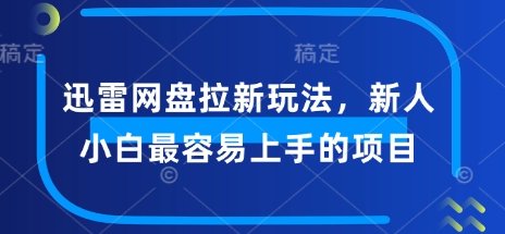 迅雷网盘拉新玩法，新人小白最容易上手的项目-搞钱蓝图