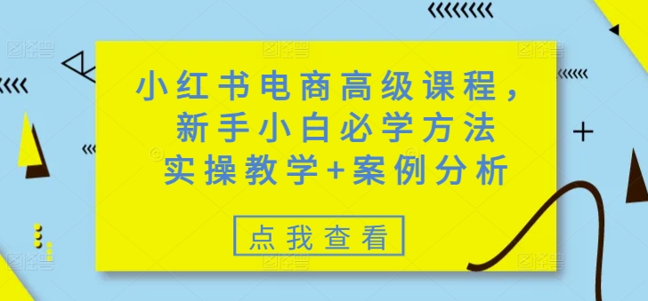 小红书电商高级课程，新手小白必学方法，实操教学+案例分析-搞钱蓝图