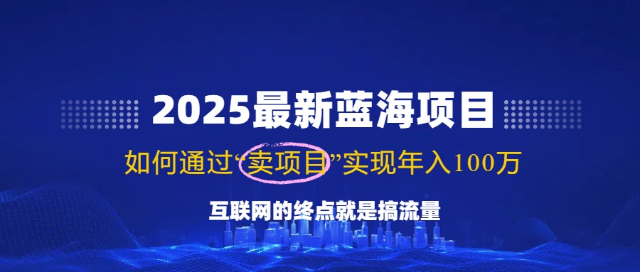 （14305期）2025最新蓝海项目，零门槛轻松复制，月入10万+，新手也能操作！-搞钱蓝图